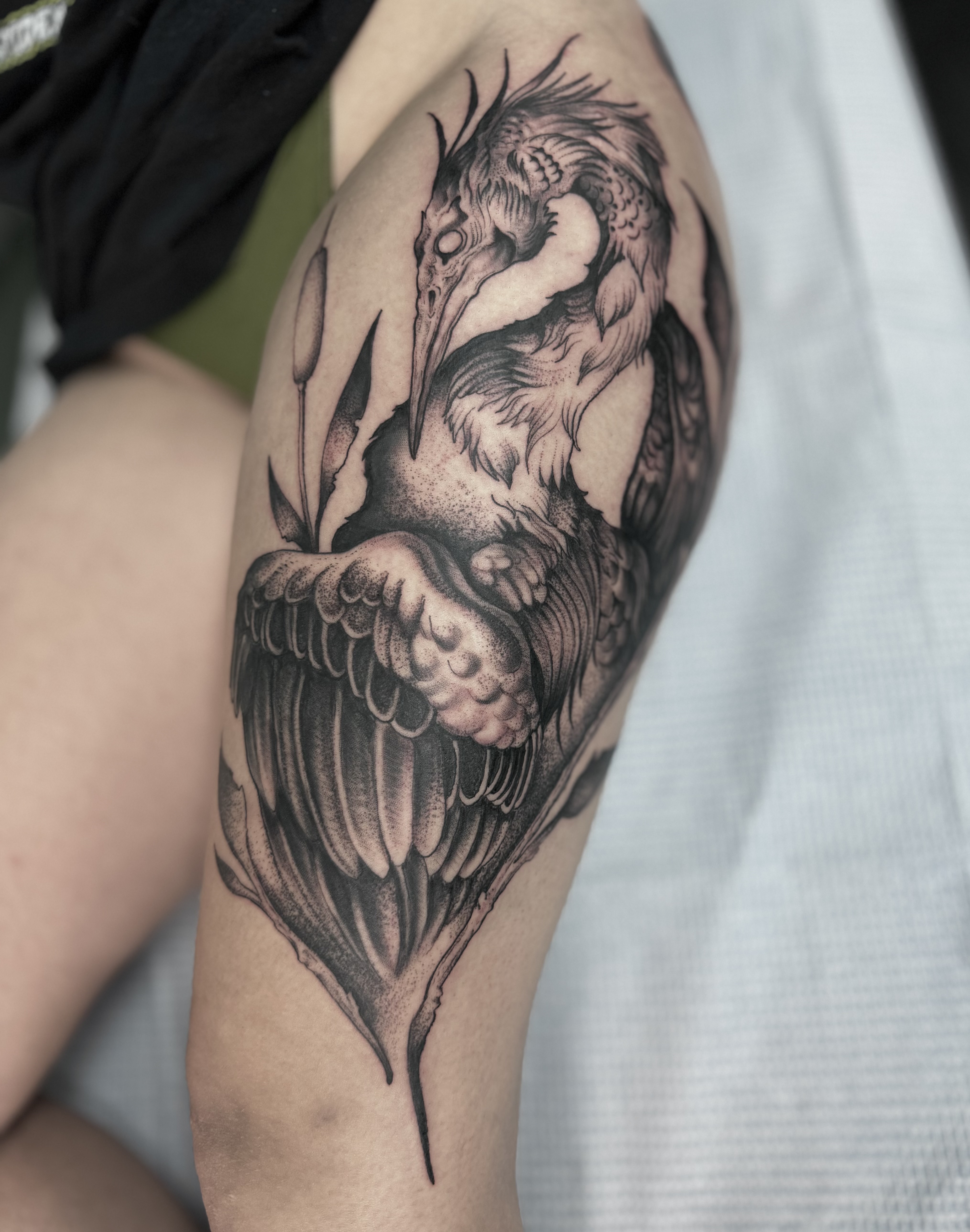 Black and grey illustrative bird tattoo by Cesar — Gold Scarab Tattoo Seattle