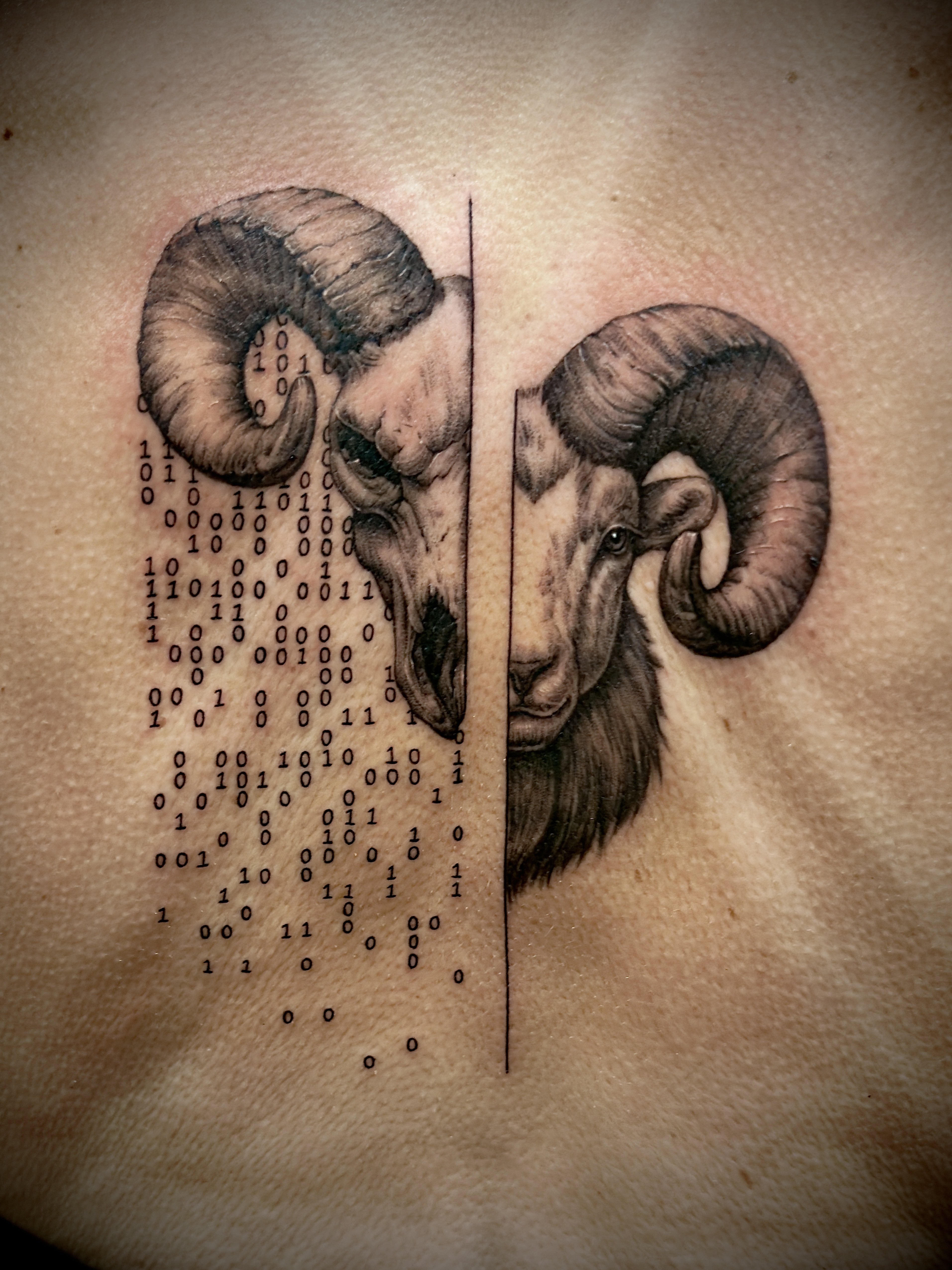Micro-realism binary ram tattoo by Wolfe — Gold Scarab Tattoo Seattle